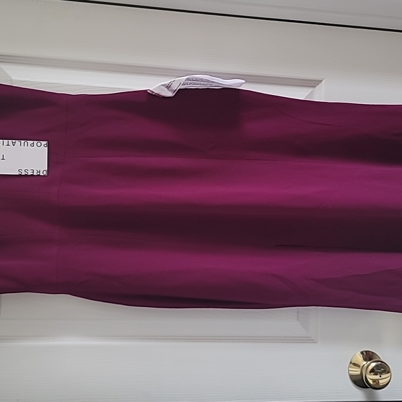 Dress The Population Burgundy Iris Dress - Picture 4 of 6